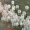 12 Pack: Toho® Transparent Japanese Glass Seed Beads, 6/0